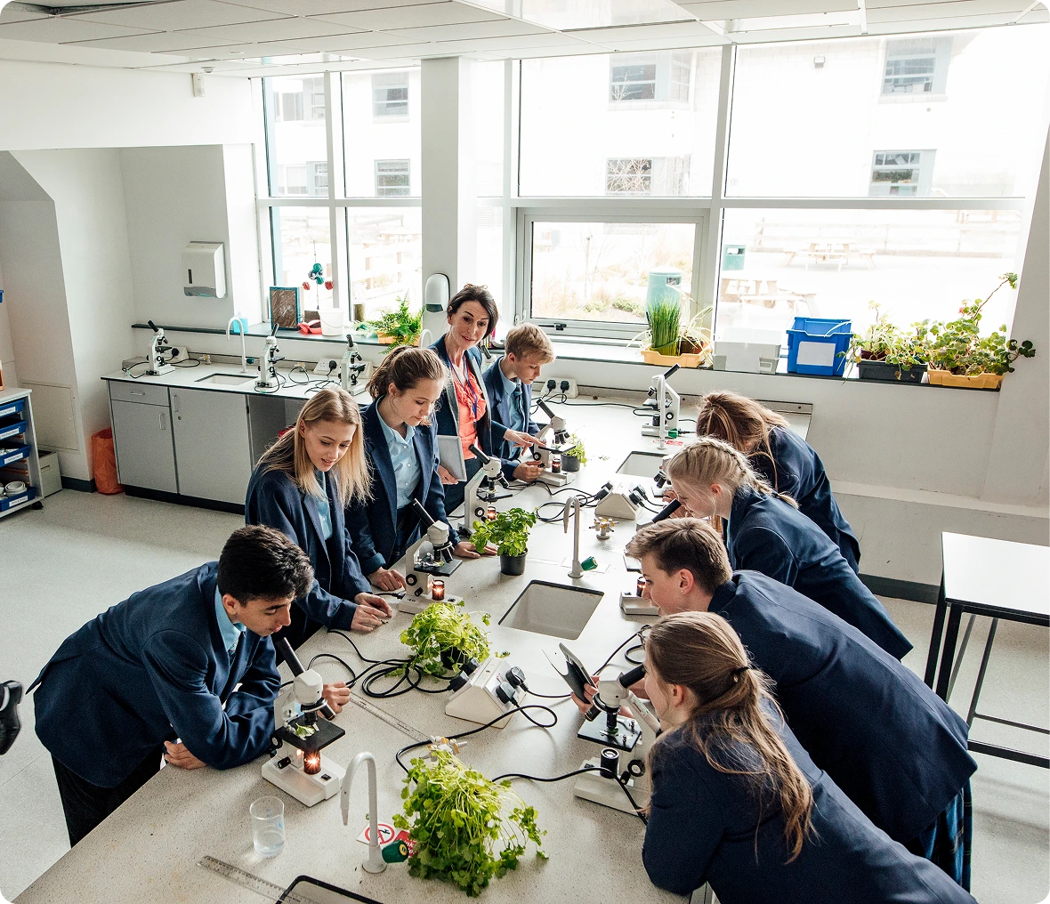 High school biology lab activity
