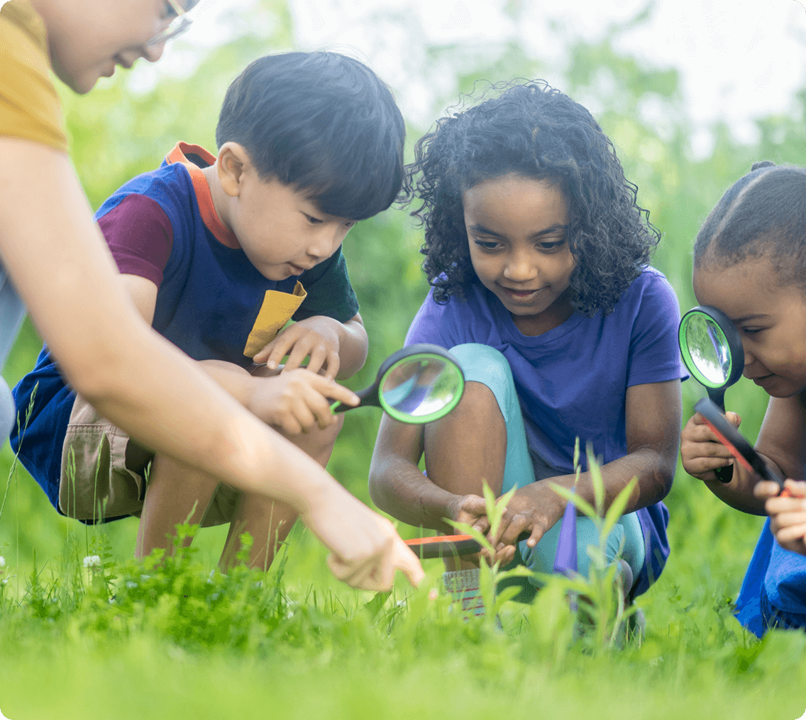 Group of kids examining leaves outdoors
