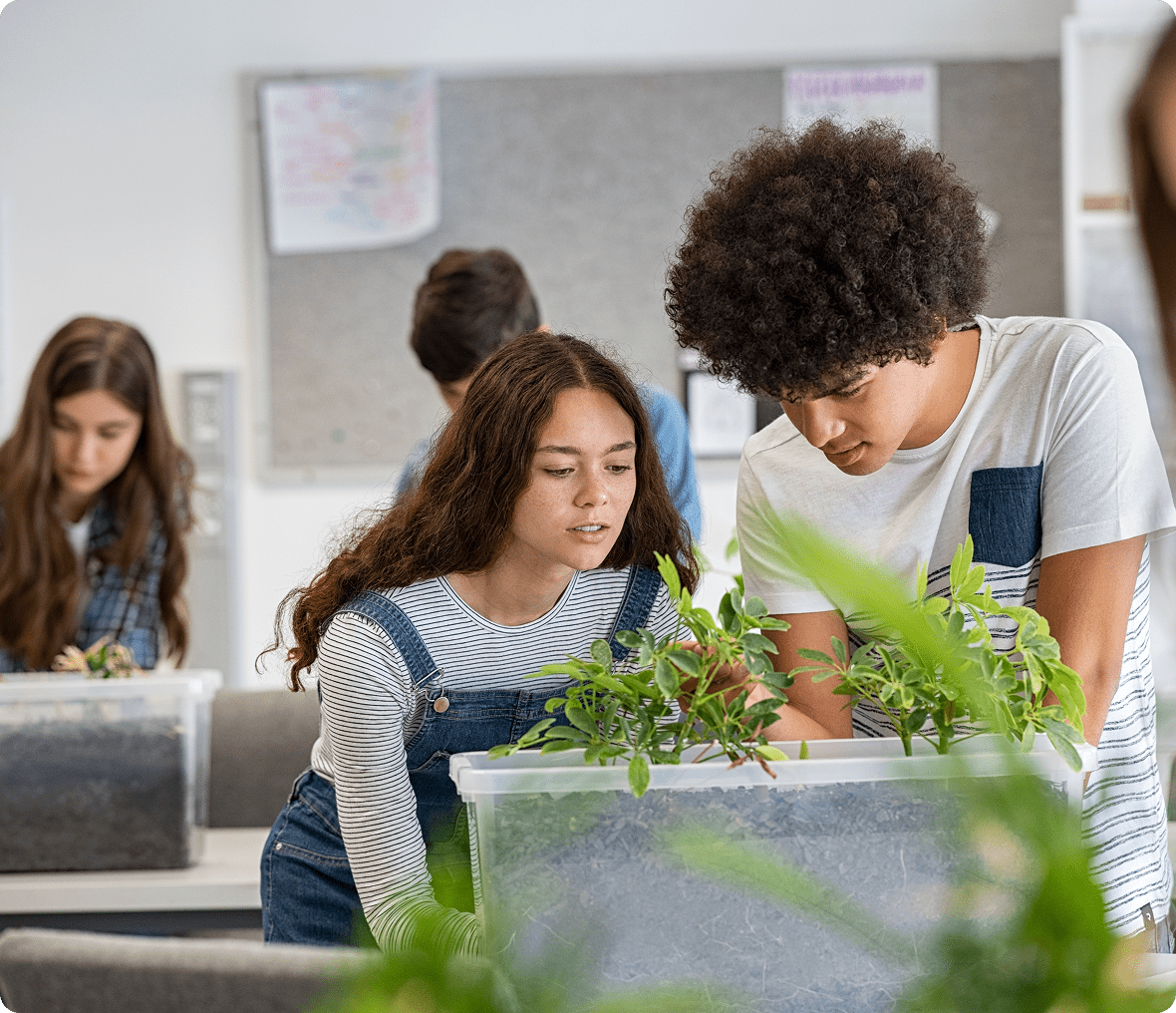 Teenagers studying plant biology