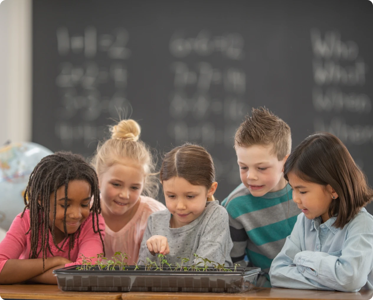 Students learning about plant growth