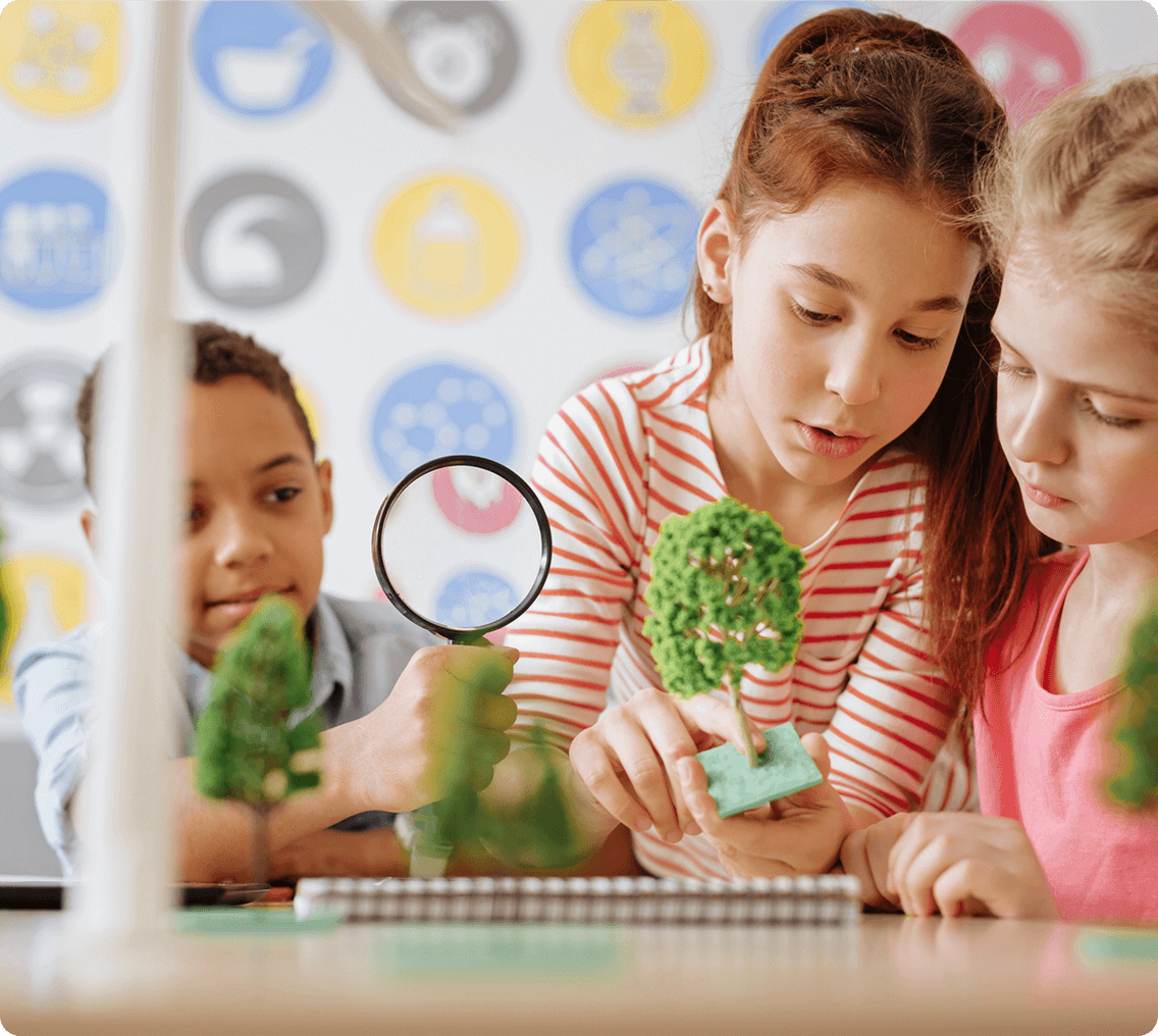 Group of children studying miniature trees